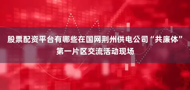 股票配资平台有哪些在国网荆州供电公司“共廉体”第一片区交流活动现场
