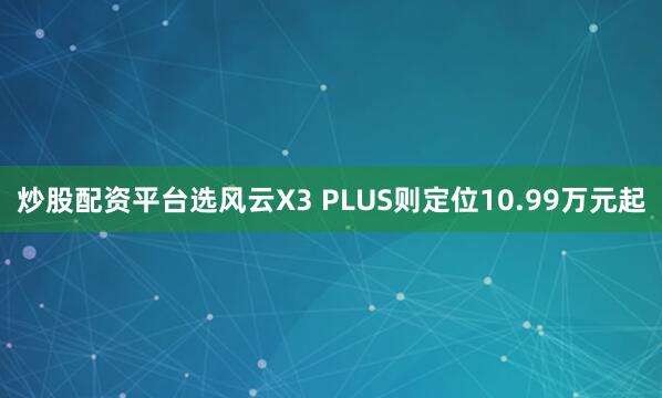 炒股配资平台选风云X3 PLUS则定位10.99万元起
