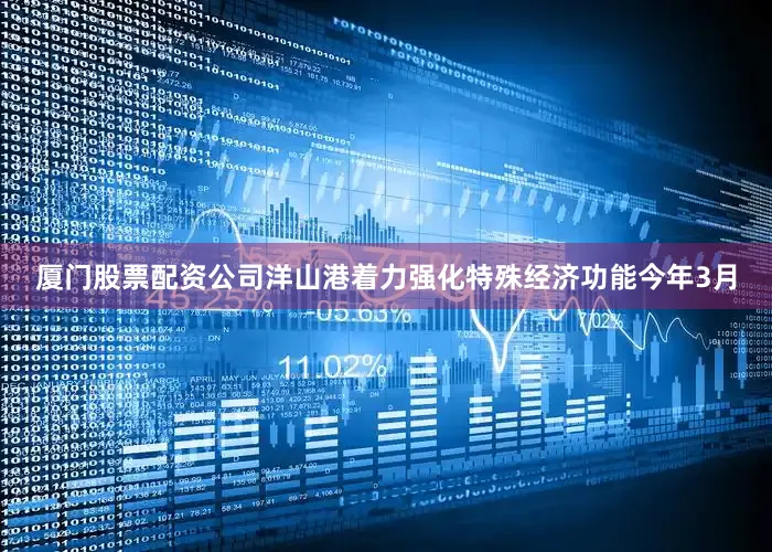 厦门股票配资公司洋山港着力强化特殊经济功能今年3月