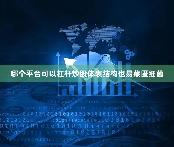 哪个平台可以杠杆炒股体表结构也易藏匿细菌